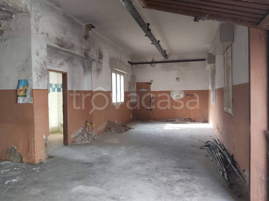 immagine annuncio 8 di 14