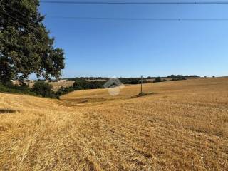 Terreno agricolo in vendita a tuscania località montebello