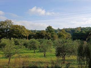 Terreno agricolo in vendita a gavorrano 