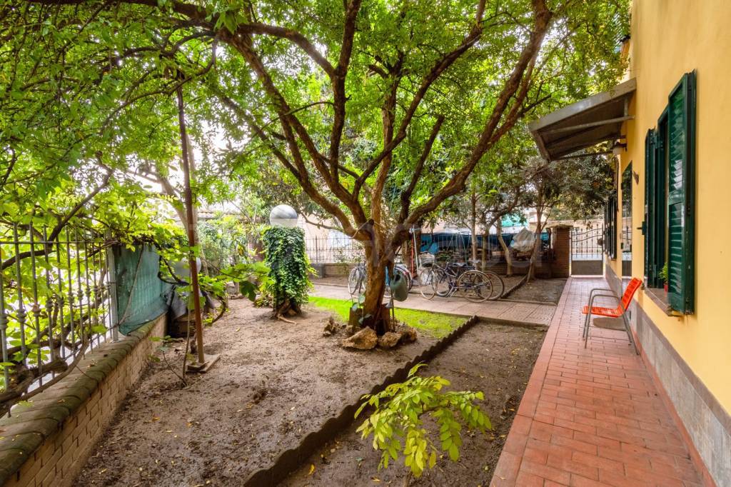 immagine annuncio 1 di 14