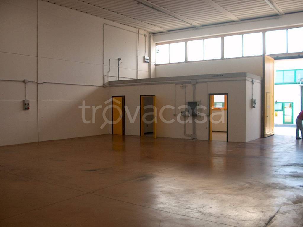immagine annuncio 10 di 14