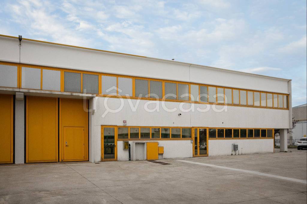 immagine annuncio 7 di 12