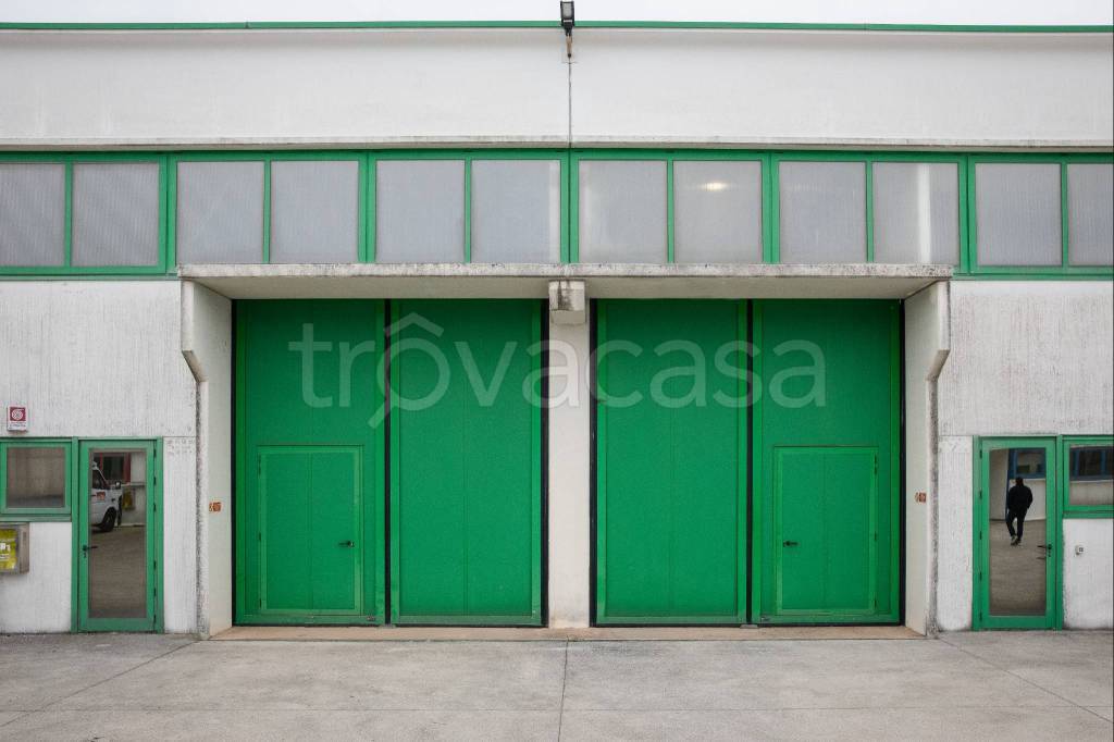 immagine annuncio 10 di 12
