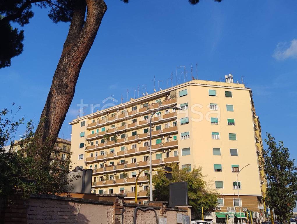 immagine annuncio 6 di 8