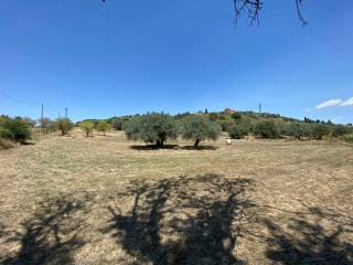 Terreno agricolo in vendita a enna 