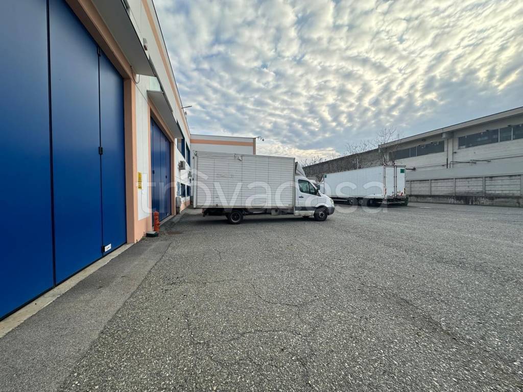 immagine annuncio 9 di 10