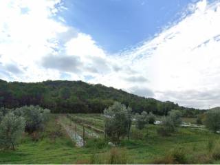 Terreno agricolo in vendita a gavorrano 