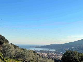 Appartamento in vendita a la spezia via costa di santa lucia, 4