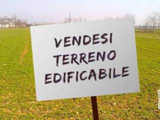 Terreno residenziale in vendita a megliadino san vitale 