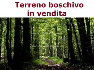 Terreno agricolo in vendita a gambassi terme zona campagna