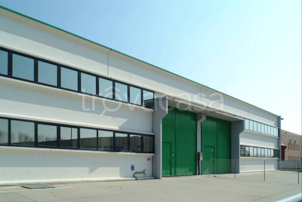 immagine annuncio 3 di 9