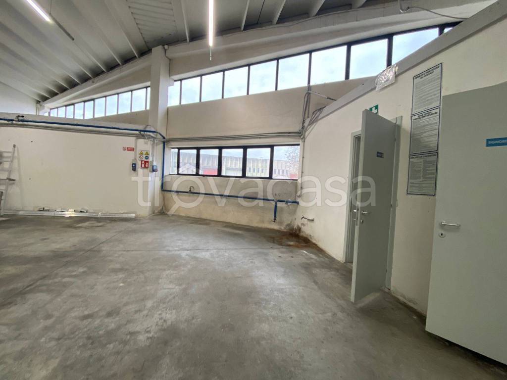 immagine annuncio 4 di 14