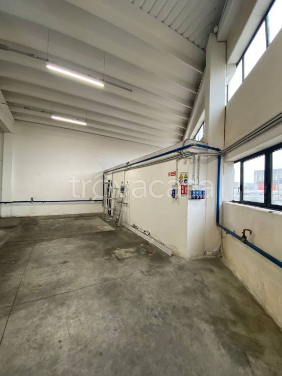 immagine annuncio 9 di 14