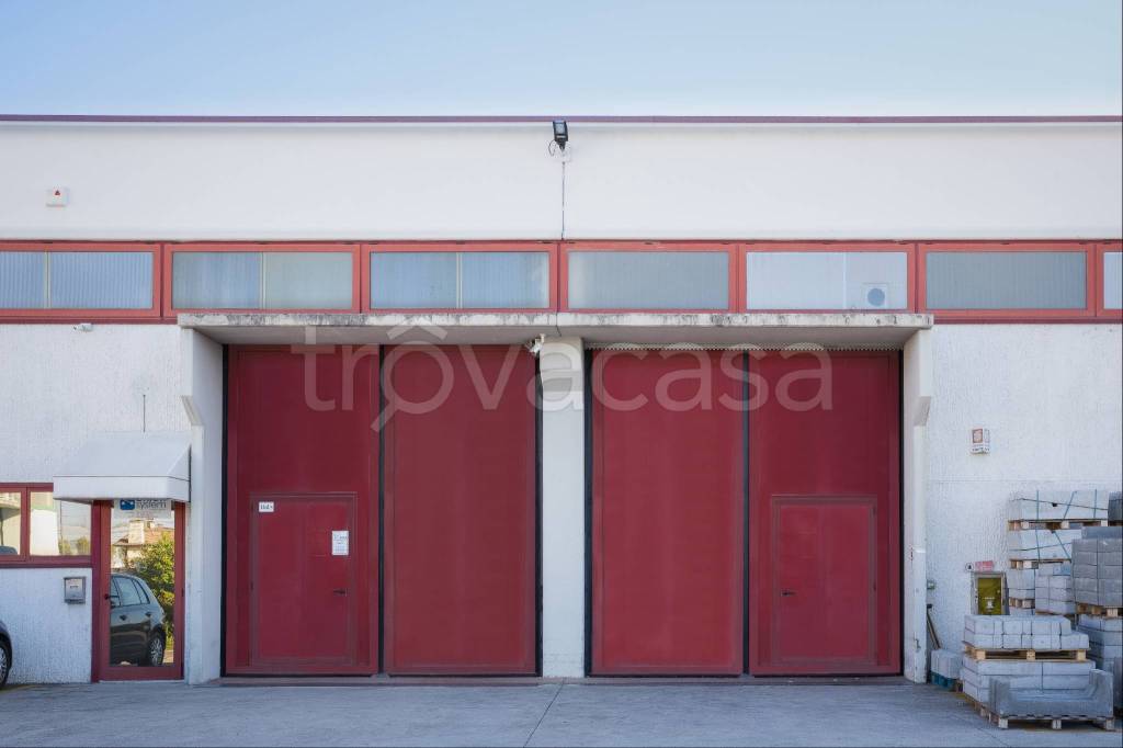 immagine annuncio 4 di 11