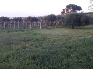 Terreno agricolo in vendita ad aprilia via campoleone tenuta