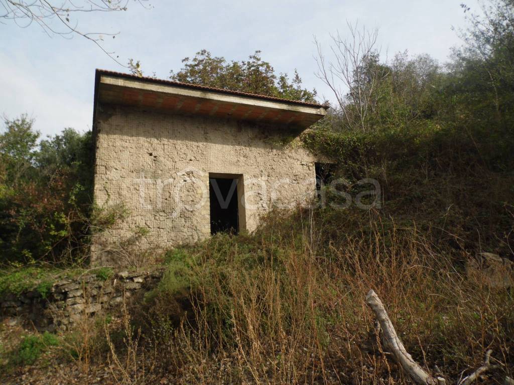 immagine annuncio 3 di 6