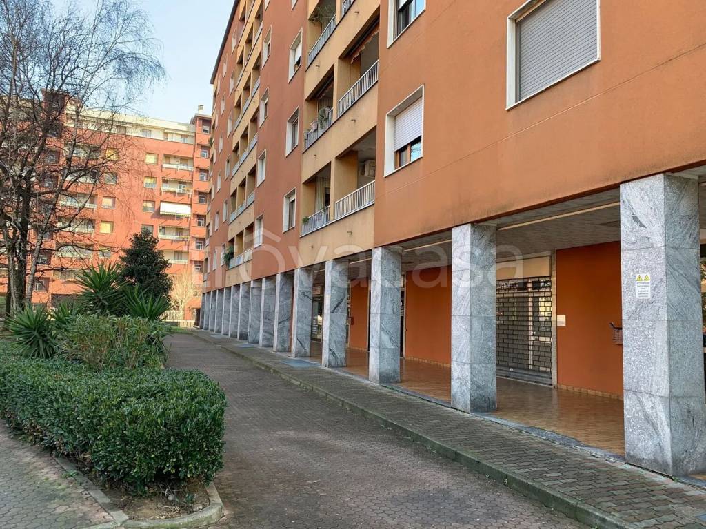 immagine annuncio 7 di 8