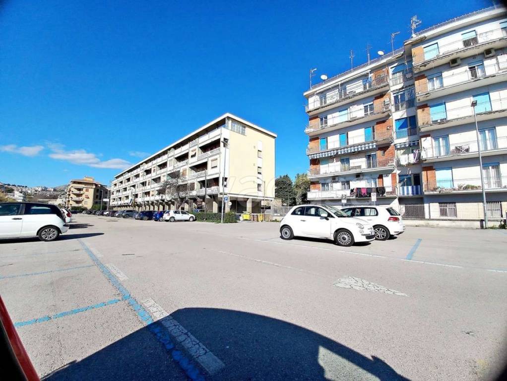 immagine annuncio 3 di 8