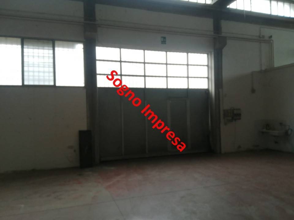 immagine annuncio 7 di 12