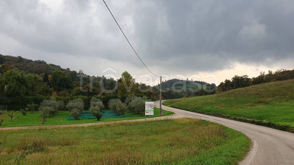 immagine annuncio 9 di 12