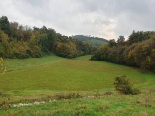 Terreno agricolo in vendita a nanto via torretta, 16