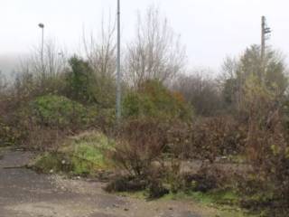 Terreno residenziale all'asta a pontedera ponte alla navetta