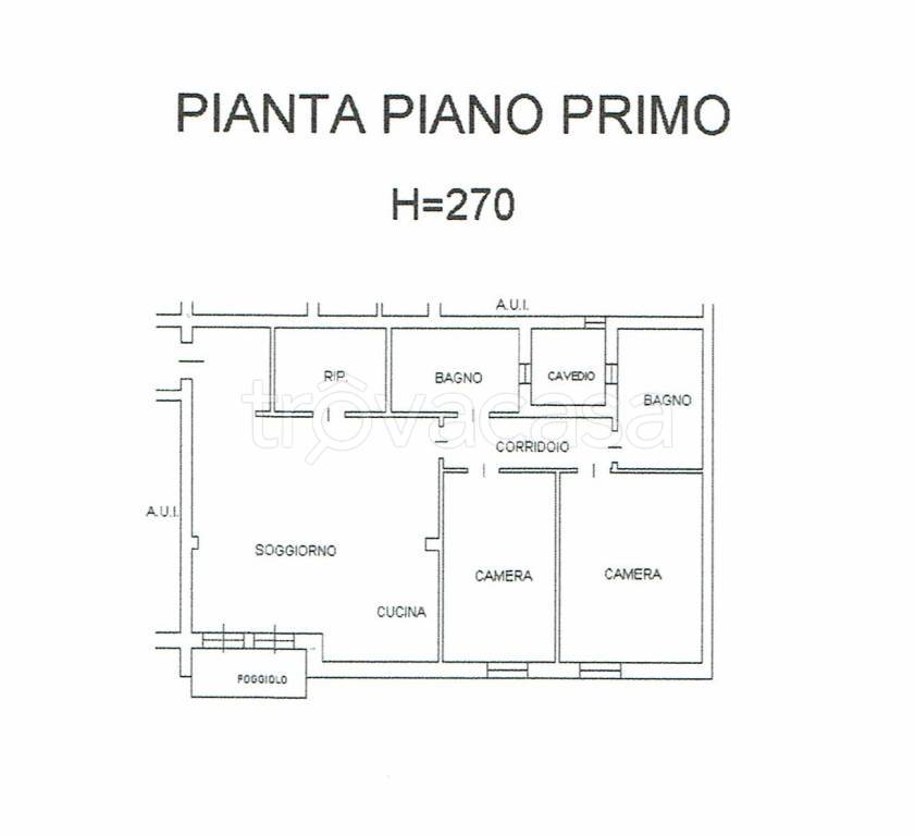 immagine annuncio 12 di 15