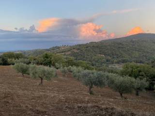 Terreno agricolo in vendita a scansano via del poggio