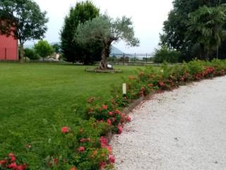 Terreno agricolo in vendita a montegaldella via lampertico