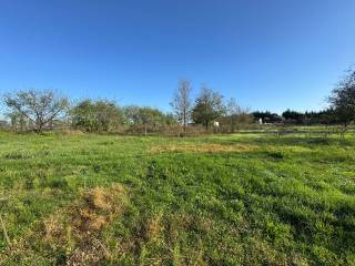 Terreno agricolo in vendita a san giovanni lupatoto strada rodigina