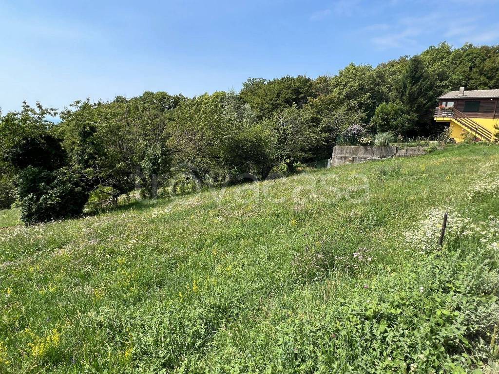 immagine annuncio 1 di 6