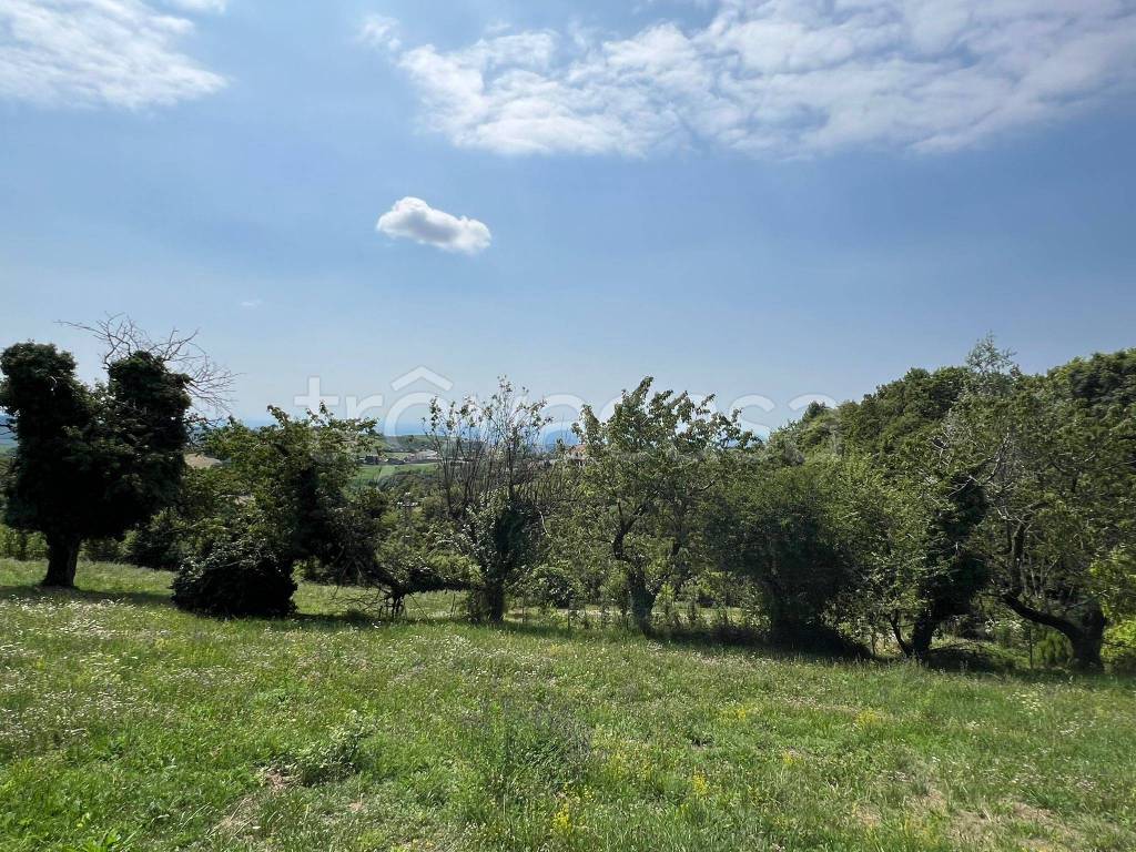 immagine annuncio 4 di 6