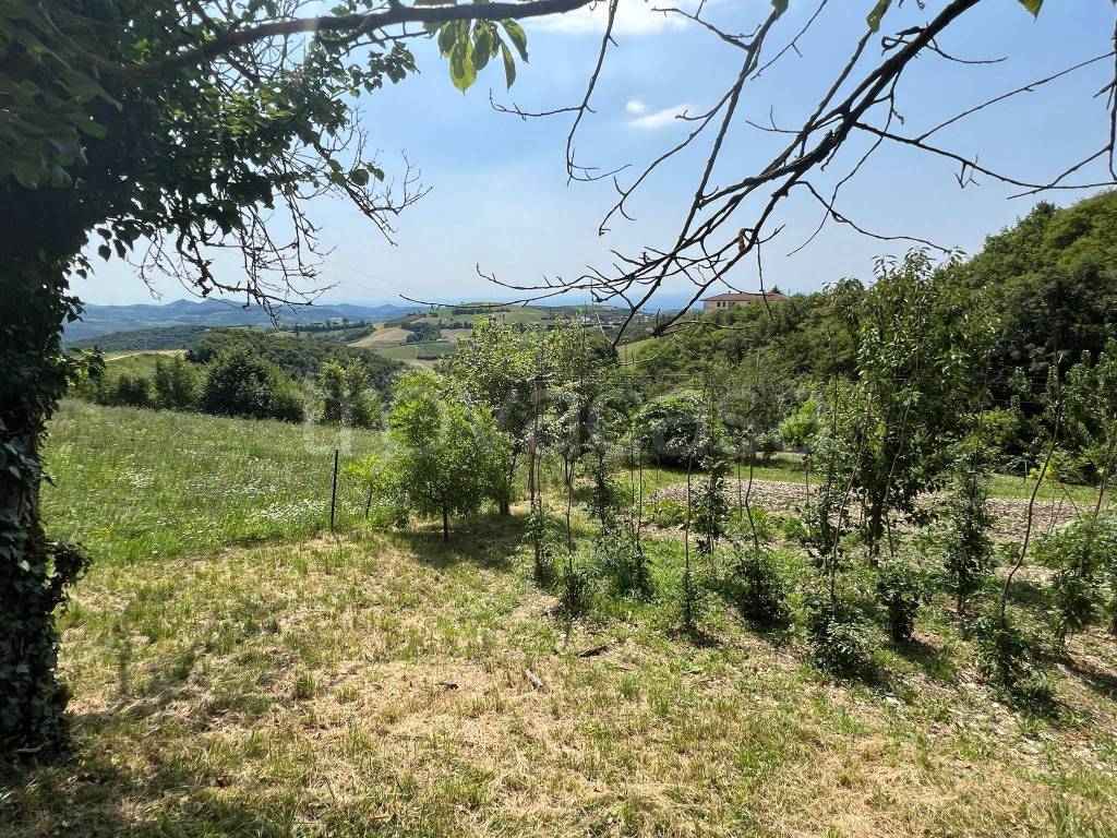 immagine annuncio 5 di 6