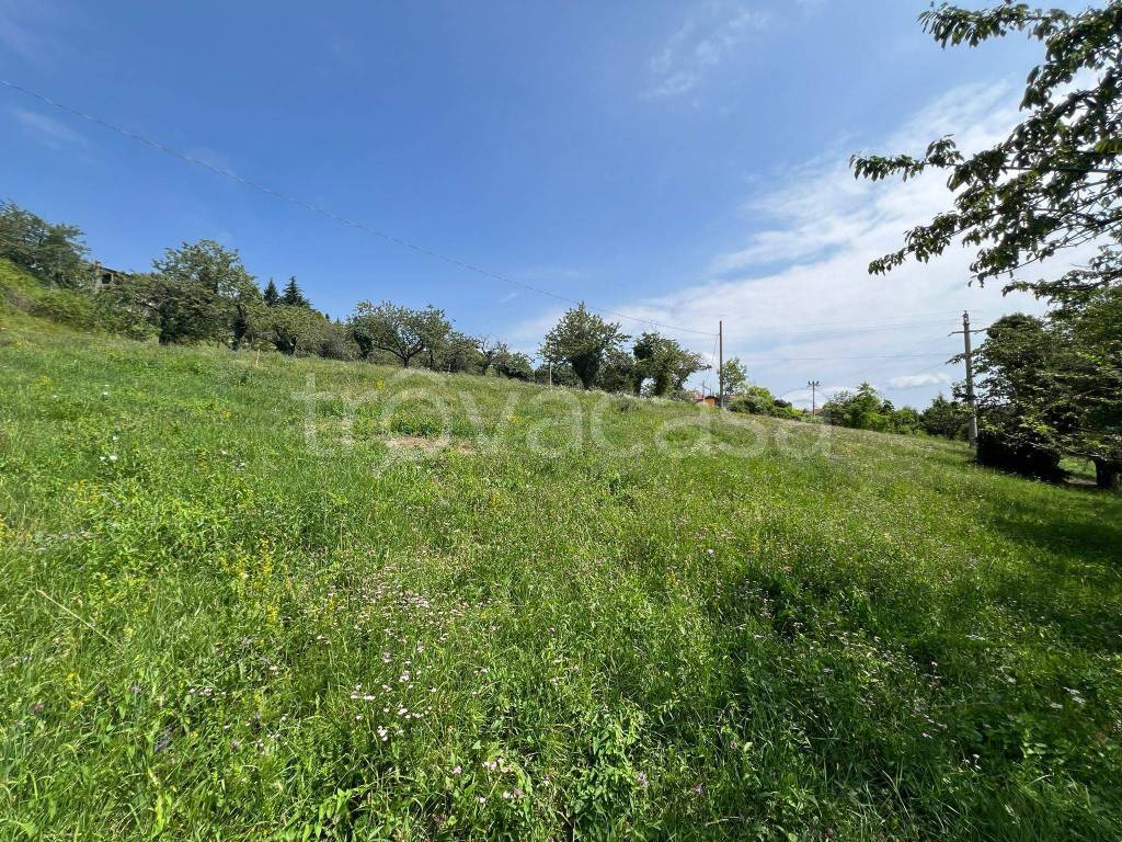 immagine annuncio 2 di 6