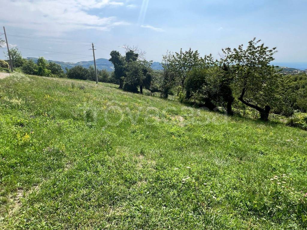 immagine annuncio 3 di 6