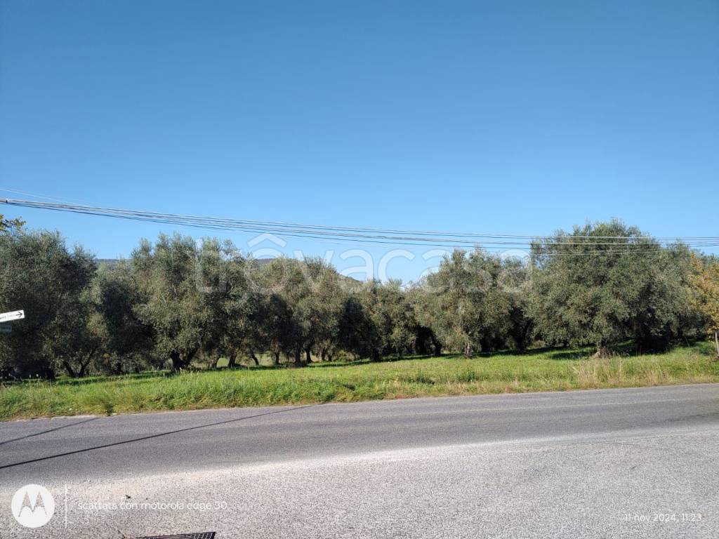 immagine annuncio 1 di 9