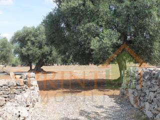 Terreno agricolo in vendita a monopoli contrada cristo delle zolle