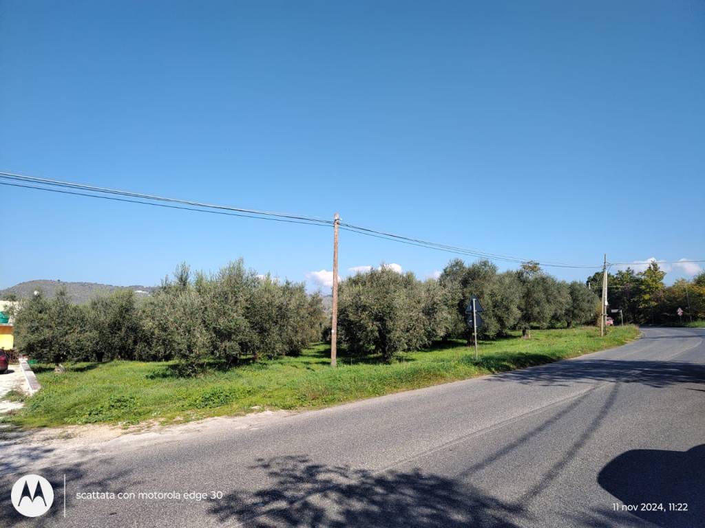 immagine annuncio 7 di 9