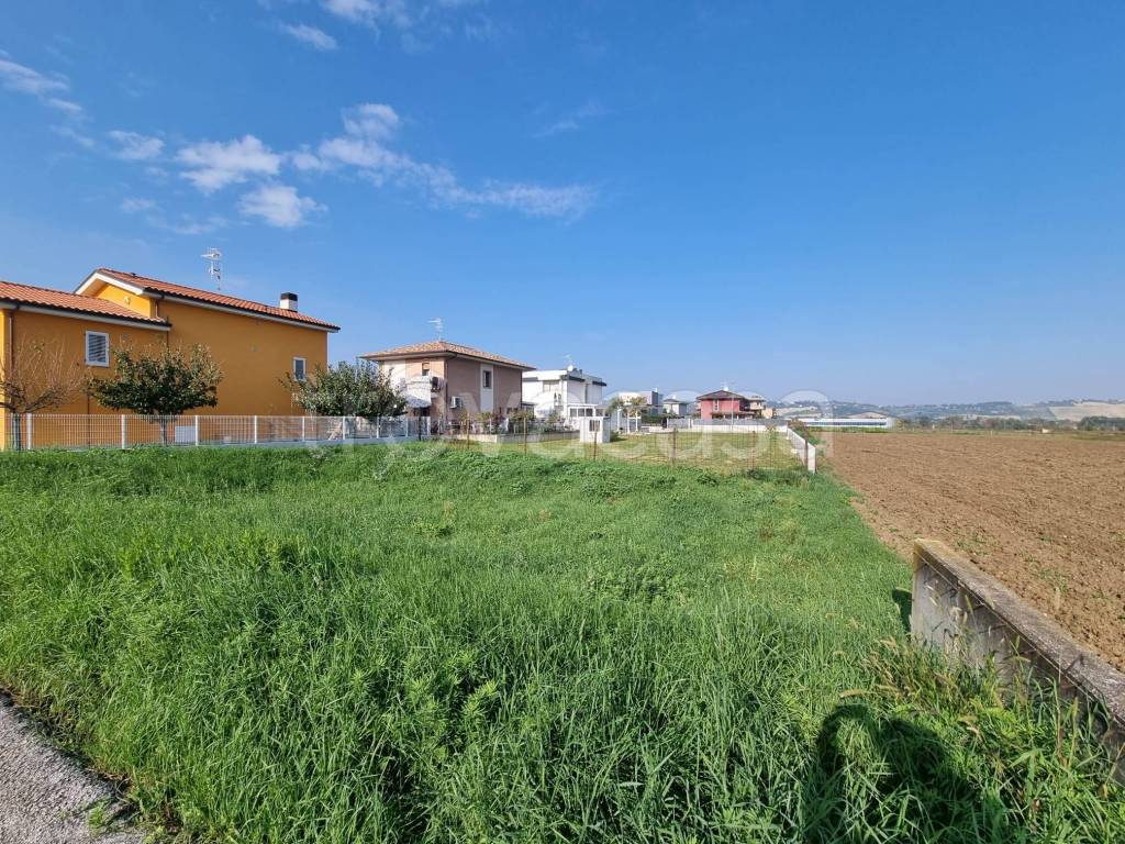 immagine annuncio 1 di 7