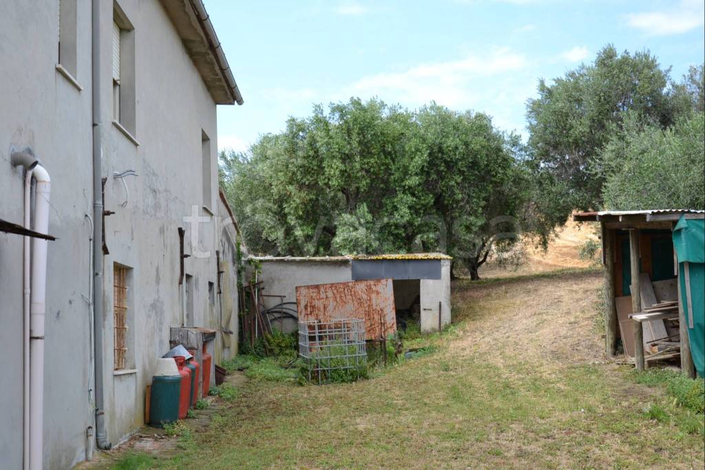 immagine annuncio 7 di 9