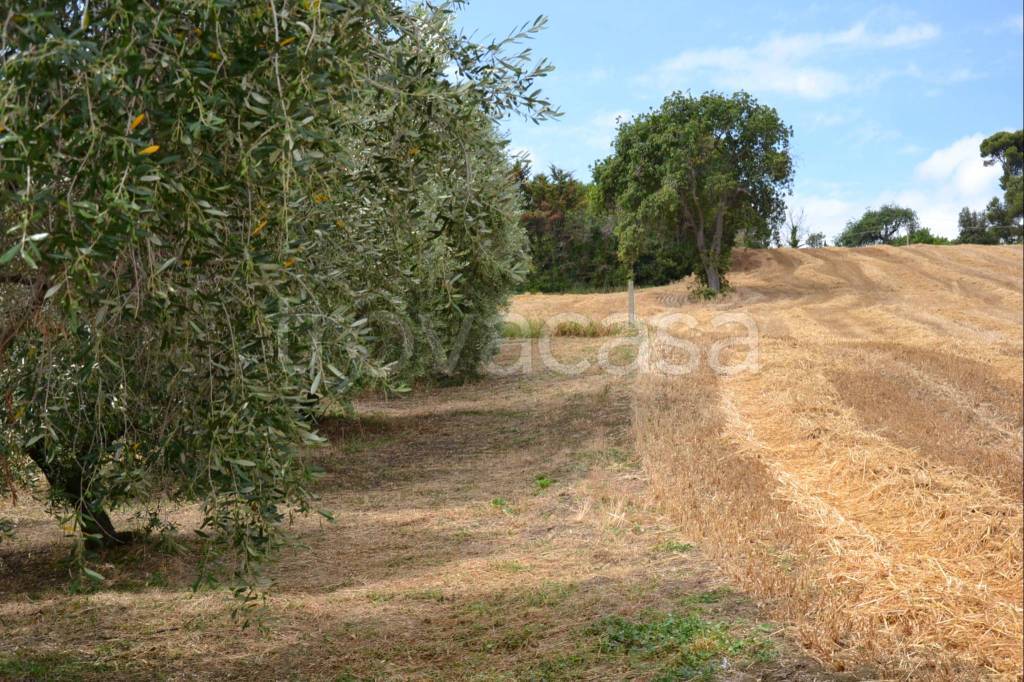 immagine annuncio 6 di 9