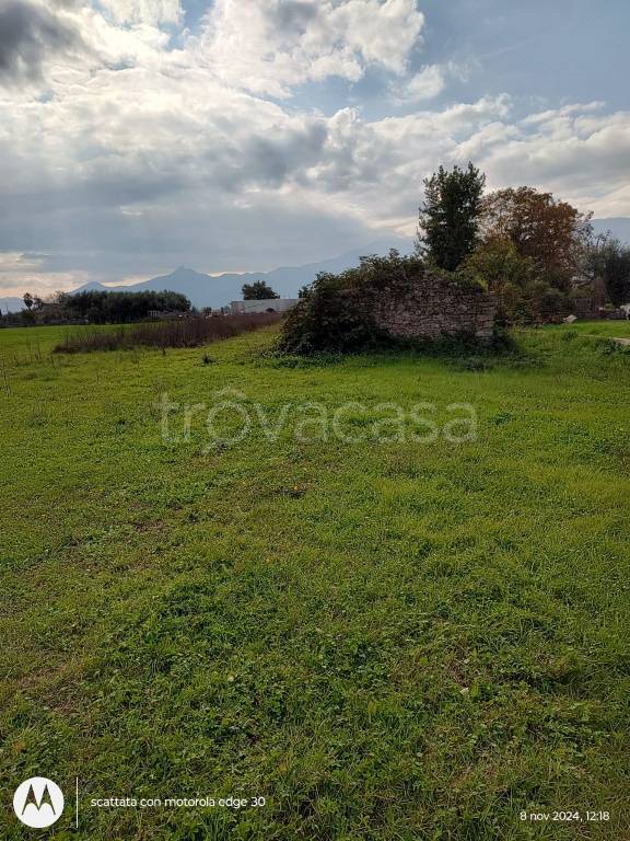 immagine annuncio 2 di 6