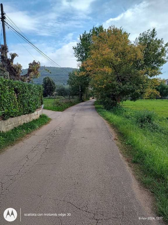 immagine annuncio 3 di 6