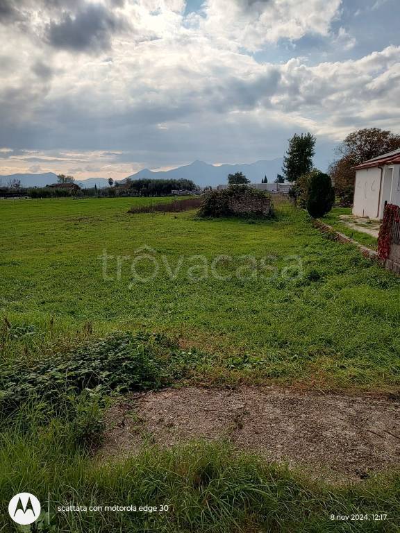 immagine annuncio 5 di 6
