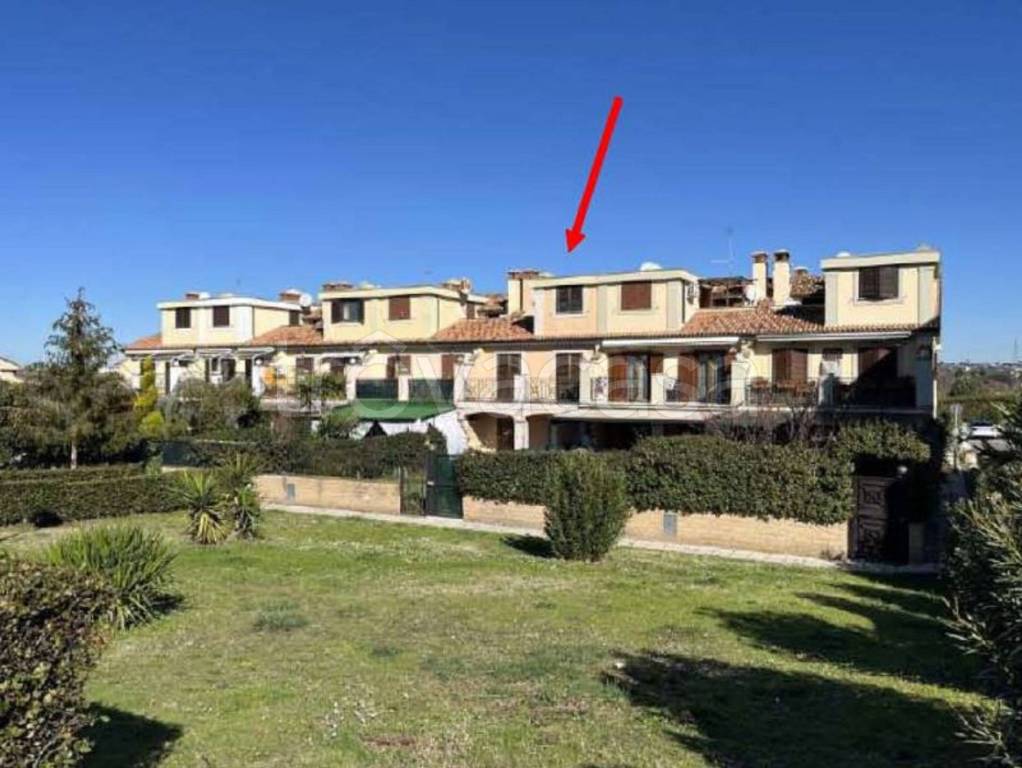 immagine annuncio 1 di 12