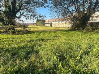 Terreno agricolo in vendita a gerenzano 