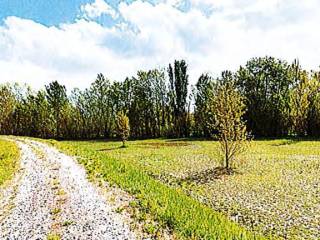 Terreno agricolo all'asta a parma via paradigna