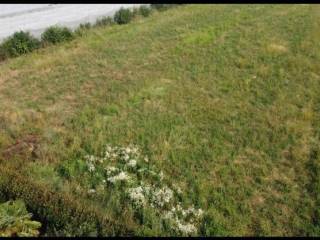 Terreno agricolo in affitto a corbetta via ernesto parini, 34