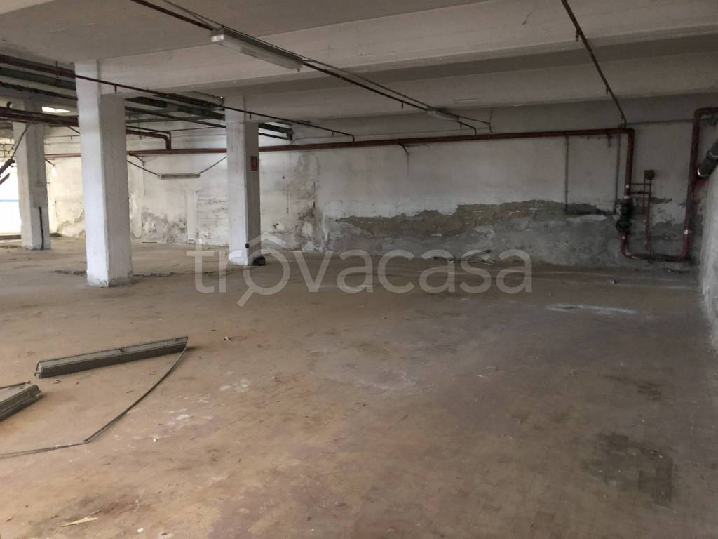 immagine annuncio 5 di 9