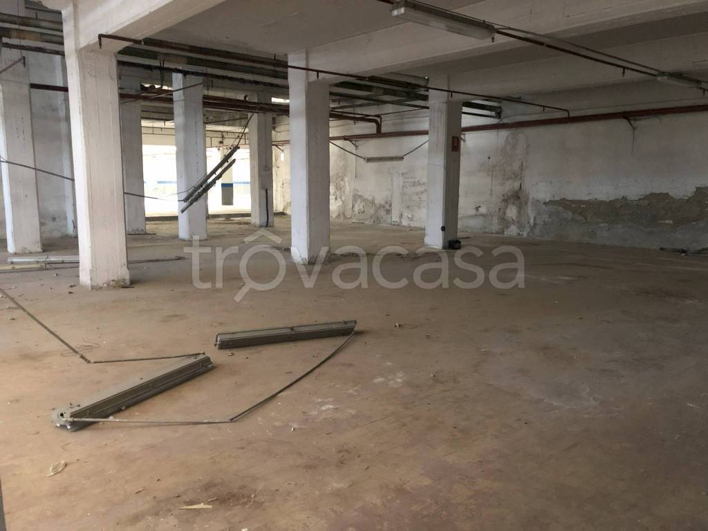 immagine annuncio 6 di 9